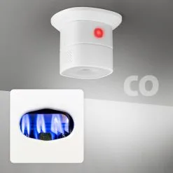 Alecto Carbon Monoxide Detector -thermometer shop 1862ce61 b0c7 4f36 82da a7178e6f47cc