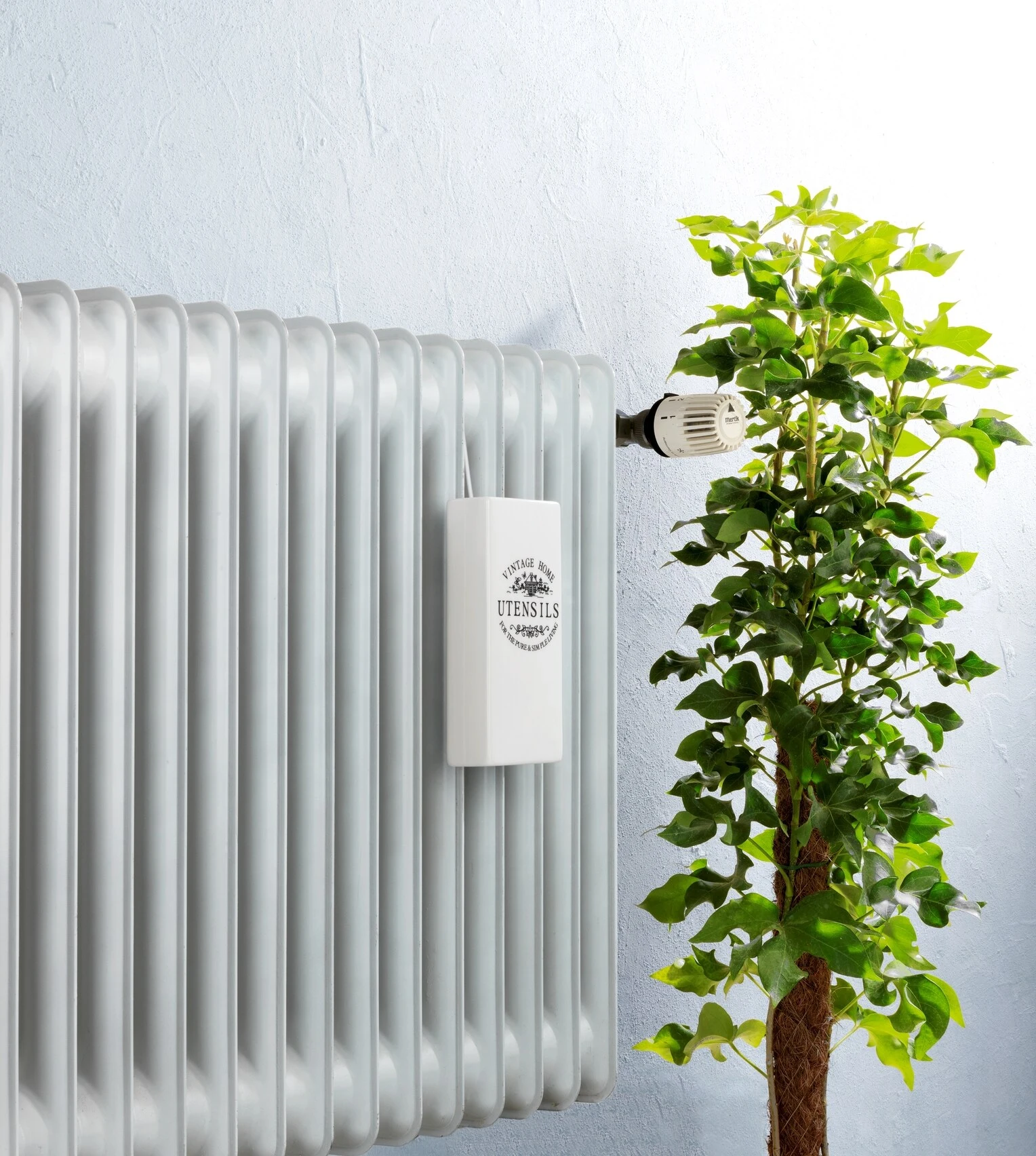 Wenko Vintage 4 Wenko Vintage - Image 4