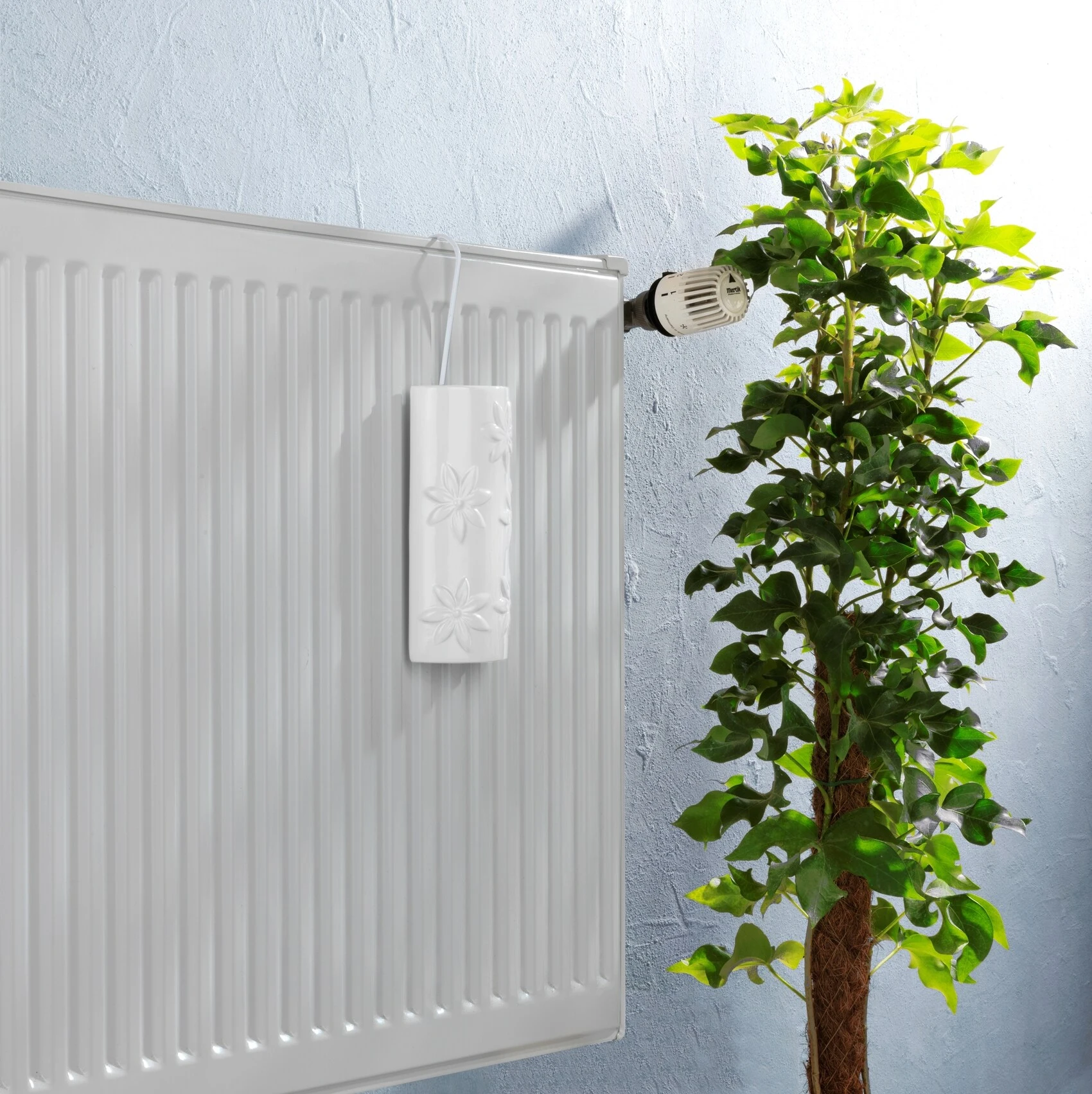 Wenko Flowers 6 Wenko Flowers - Image 6