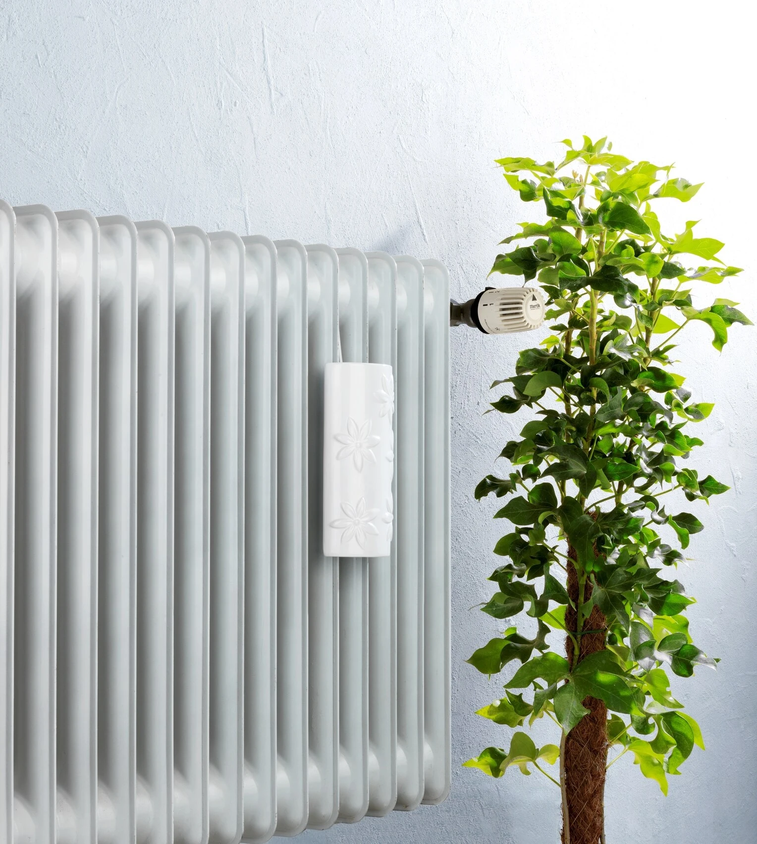 Wenko Flowers 5 Wenko Flowers - Image 5