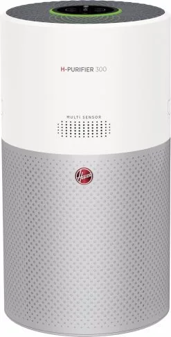 Hoover Hoover HHP 30C 011 H-Purifier 300