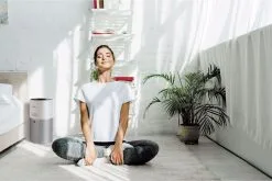 Hoover Hoover HHP 30C 011 H-Purifier 300 17 Hoover Hoover HHP 30C 011 H-Purifier 300 -thermometer shop 600707 09