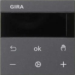 Gira RTR Display Anthracite 539328 (539328)