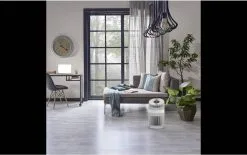 Boneco Air Purifier -thermometer shop image 170